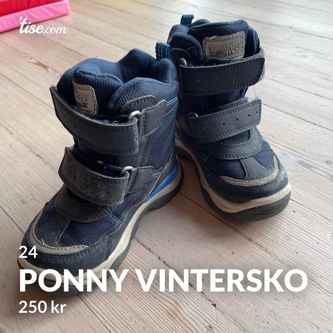 Ponny vintersko