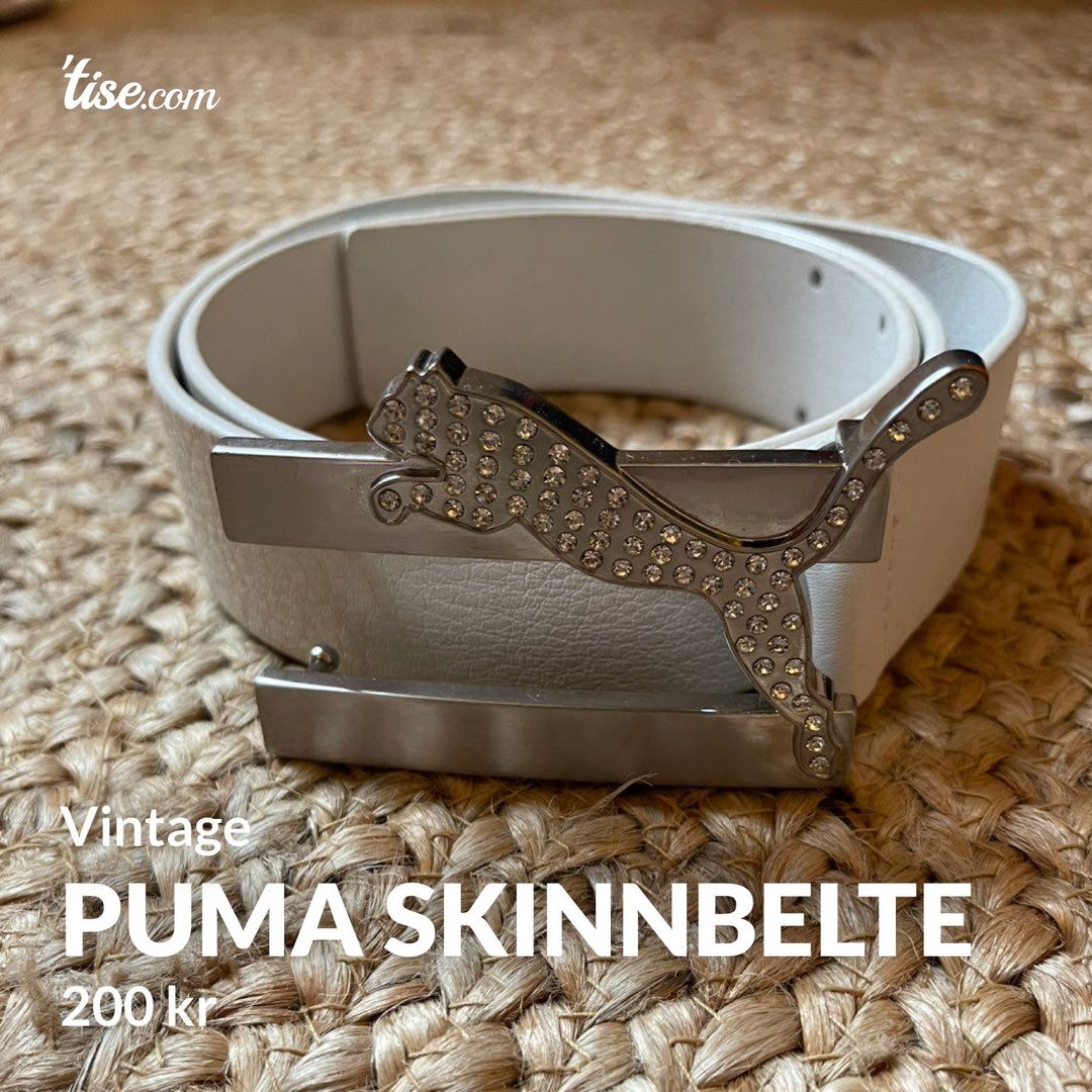 Puma skinnbelte