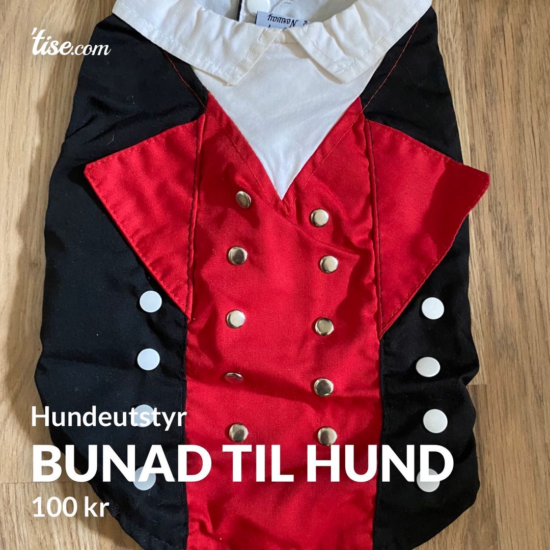 Bunad til hund