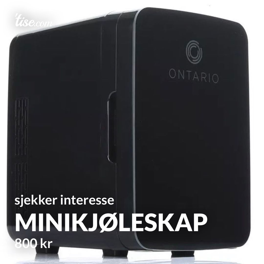 Minikjøleskap