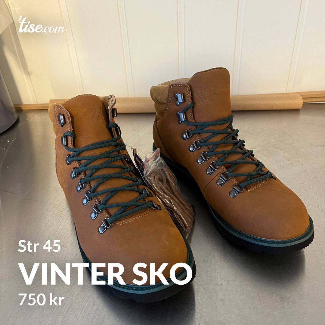 Vinter sko