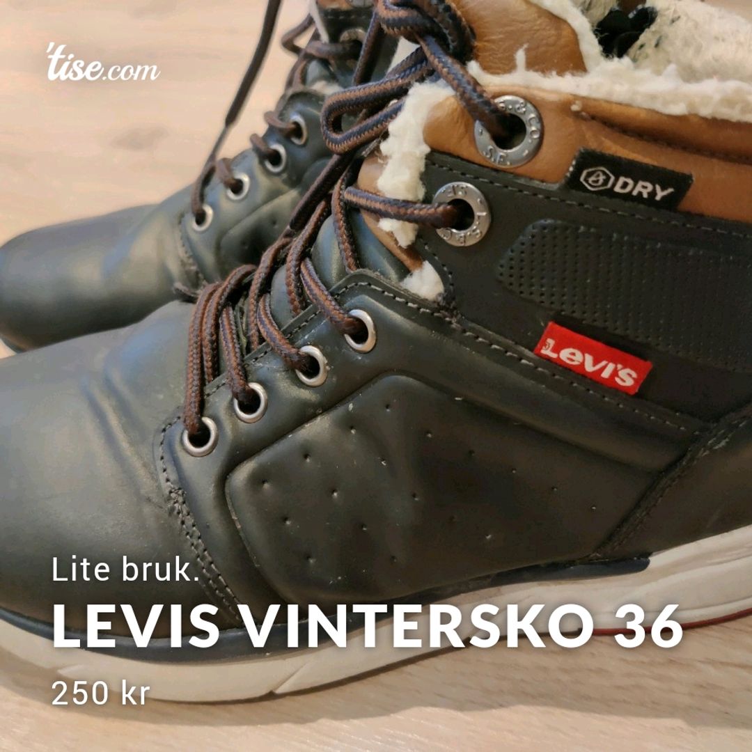 Levis Vintersko 36