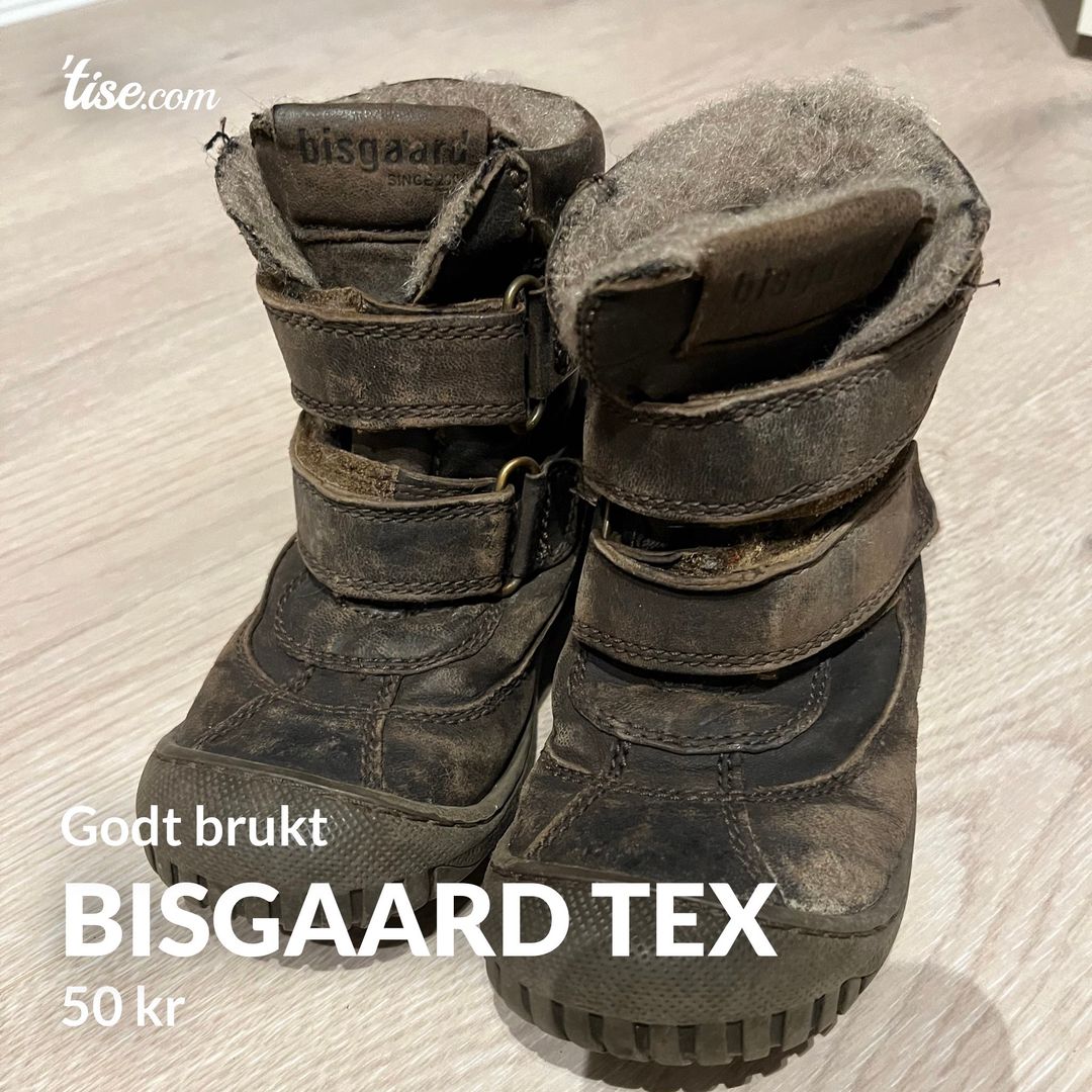 Bisgaard tex