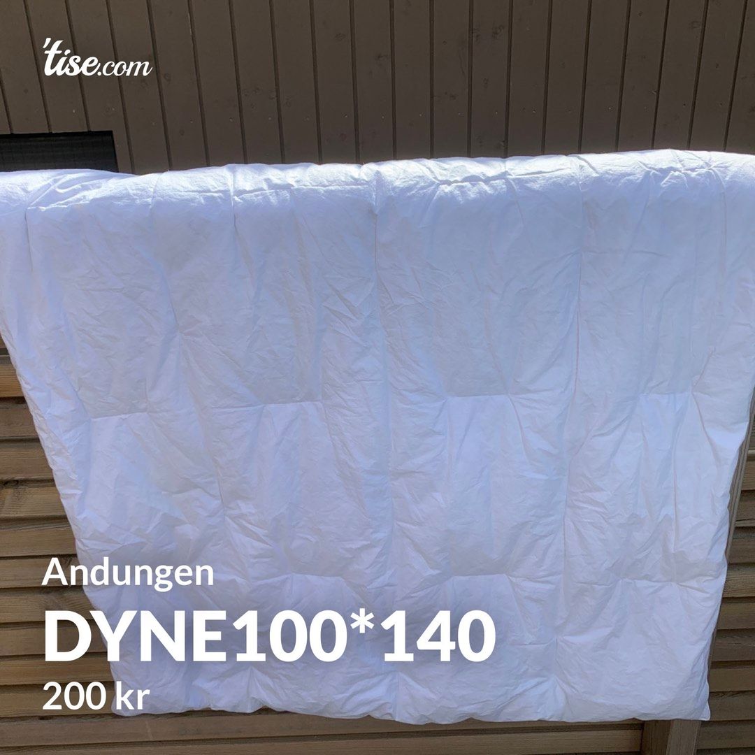 Dyne100*140