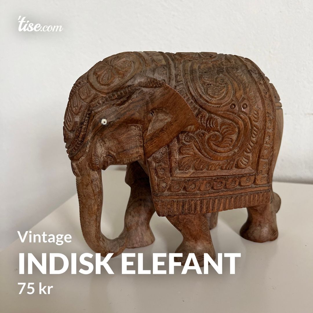 Indisk elefant