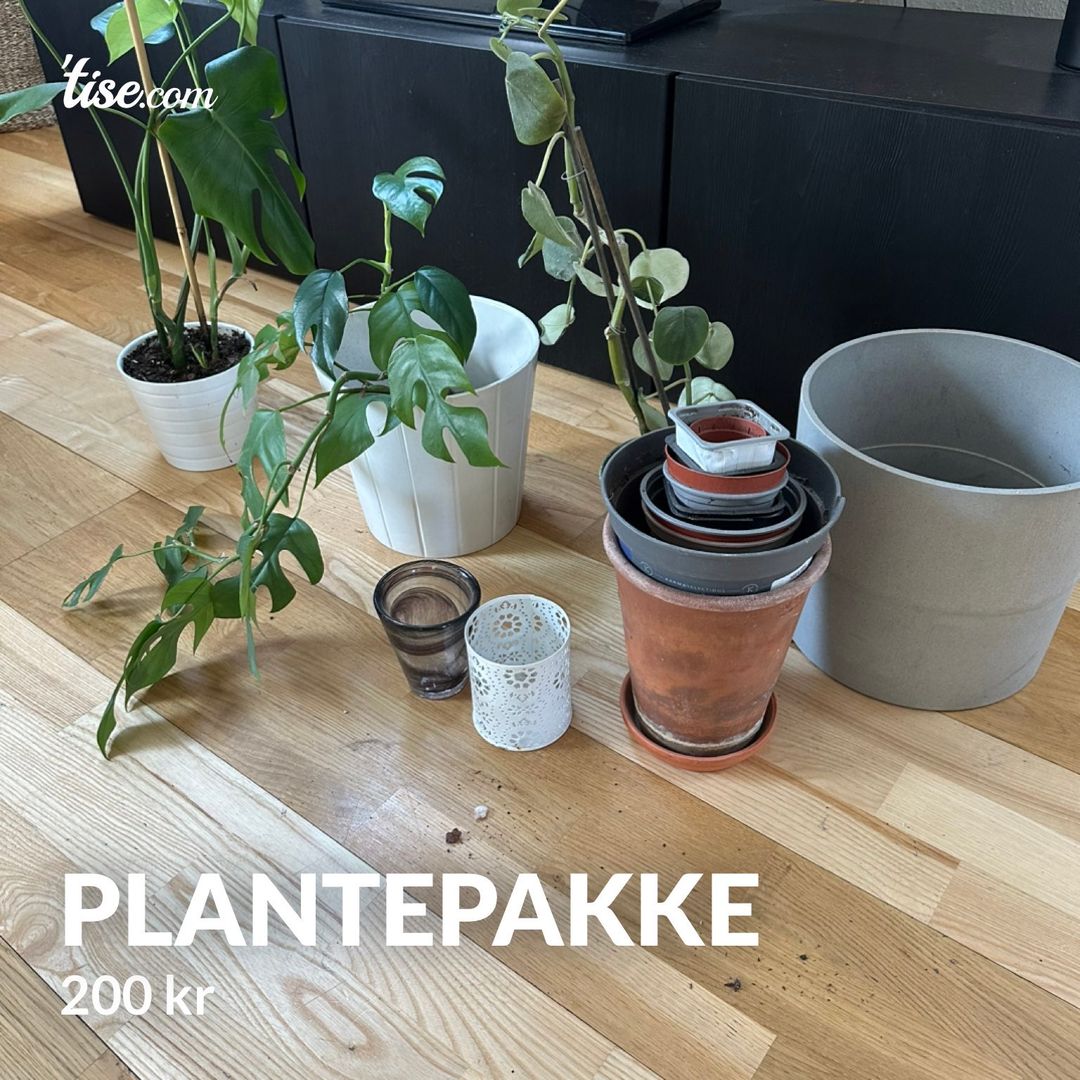 Plantepakke