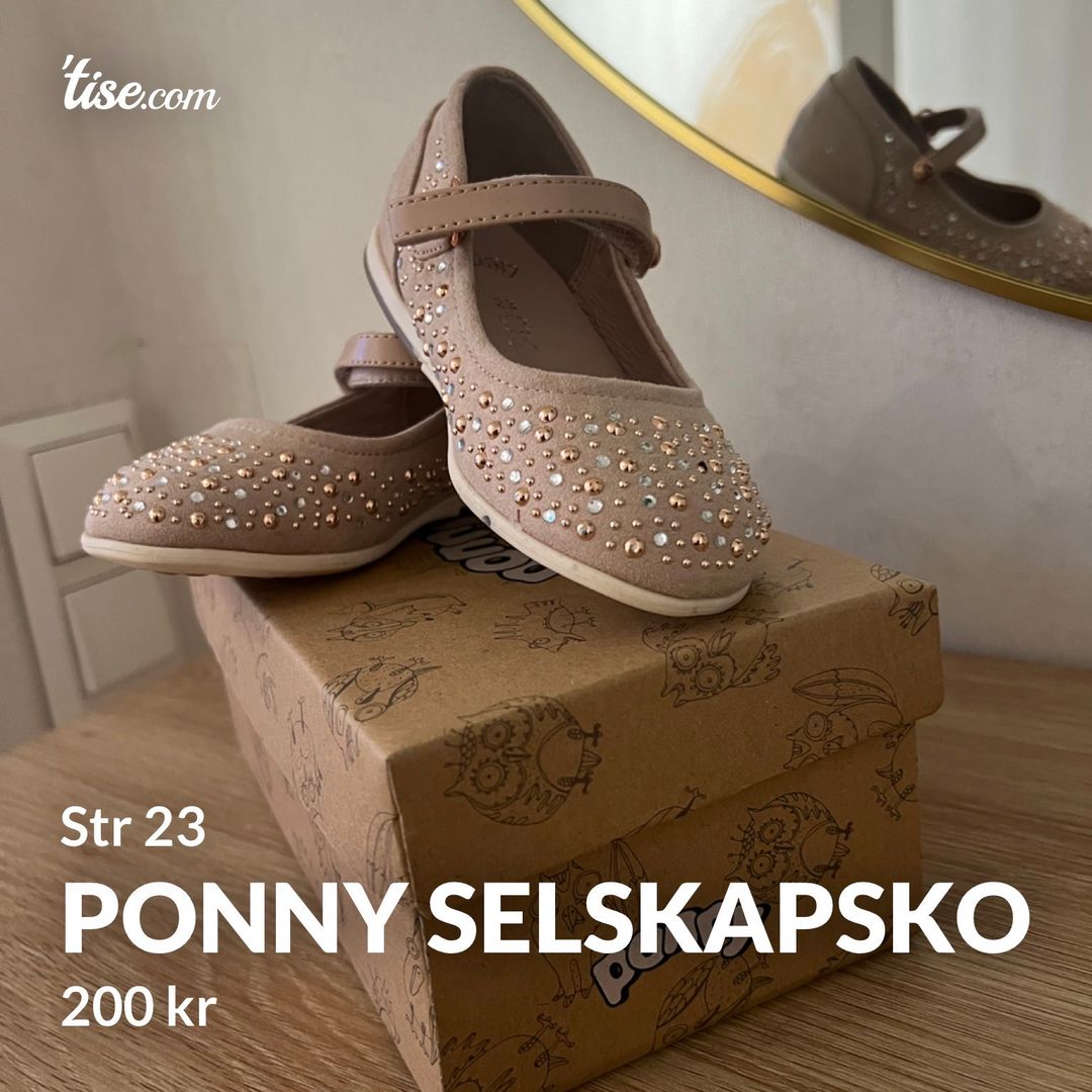 Ponny selskapsko