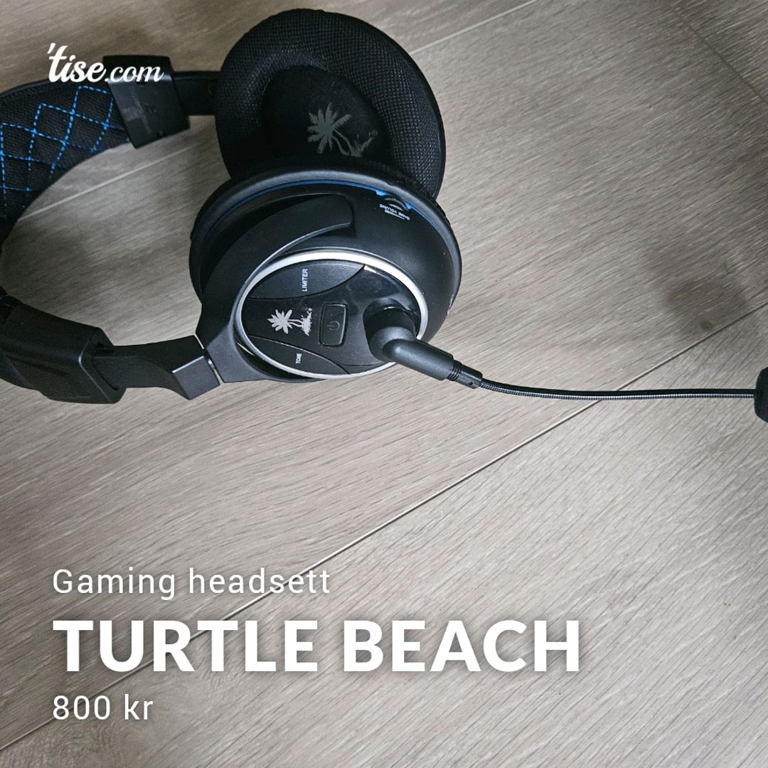 Turtle Beach