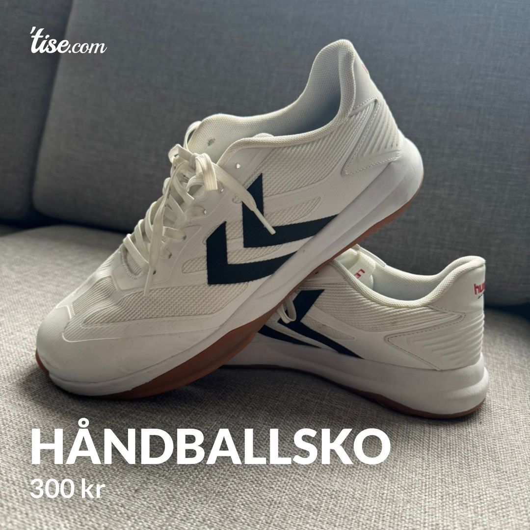 Håndballsko