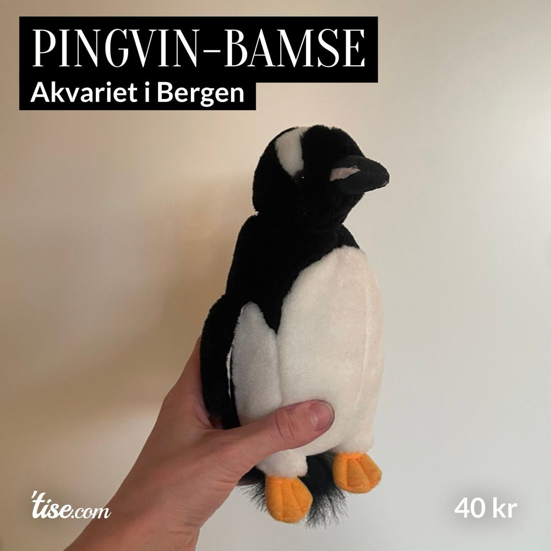 Pingvin-bamse