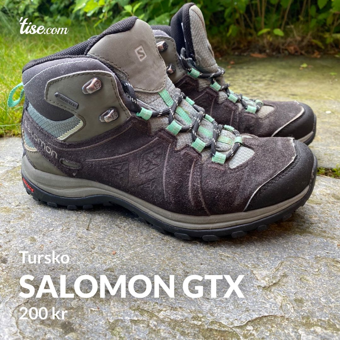 Salomon gtx