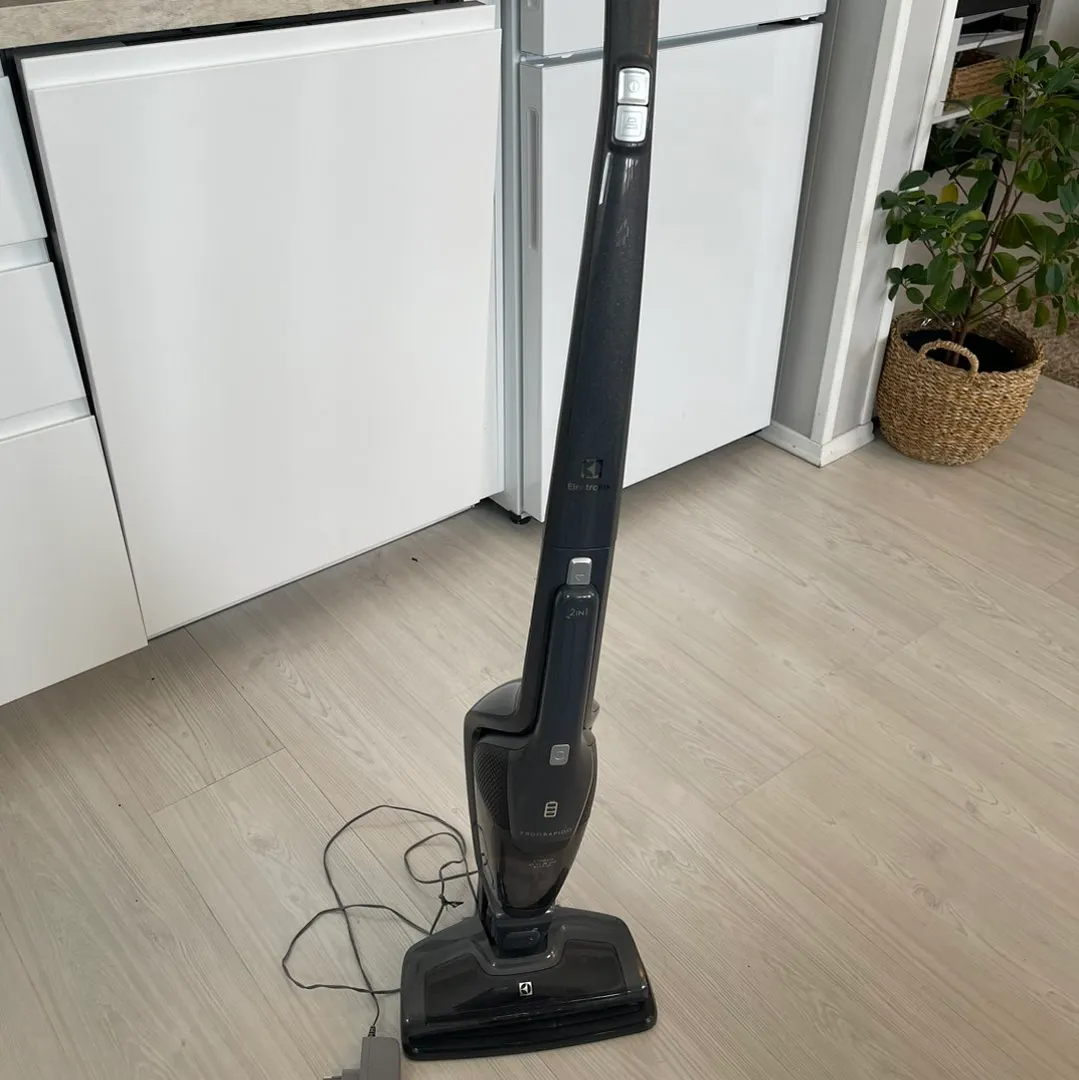 Electrolux støvsuger