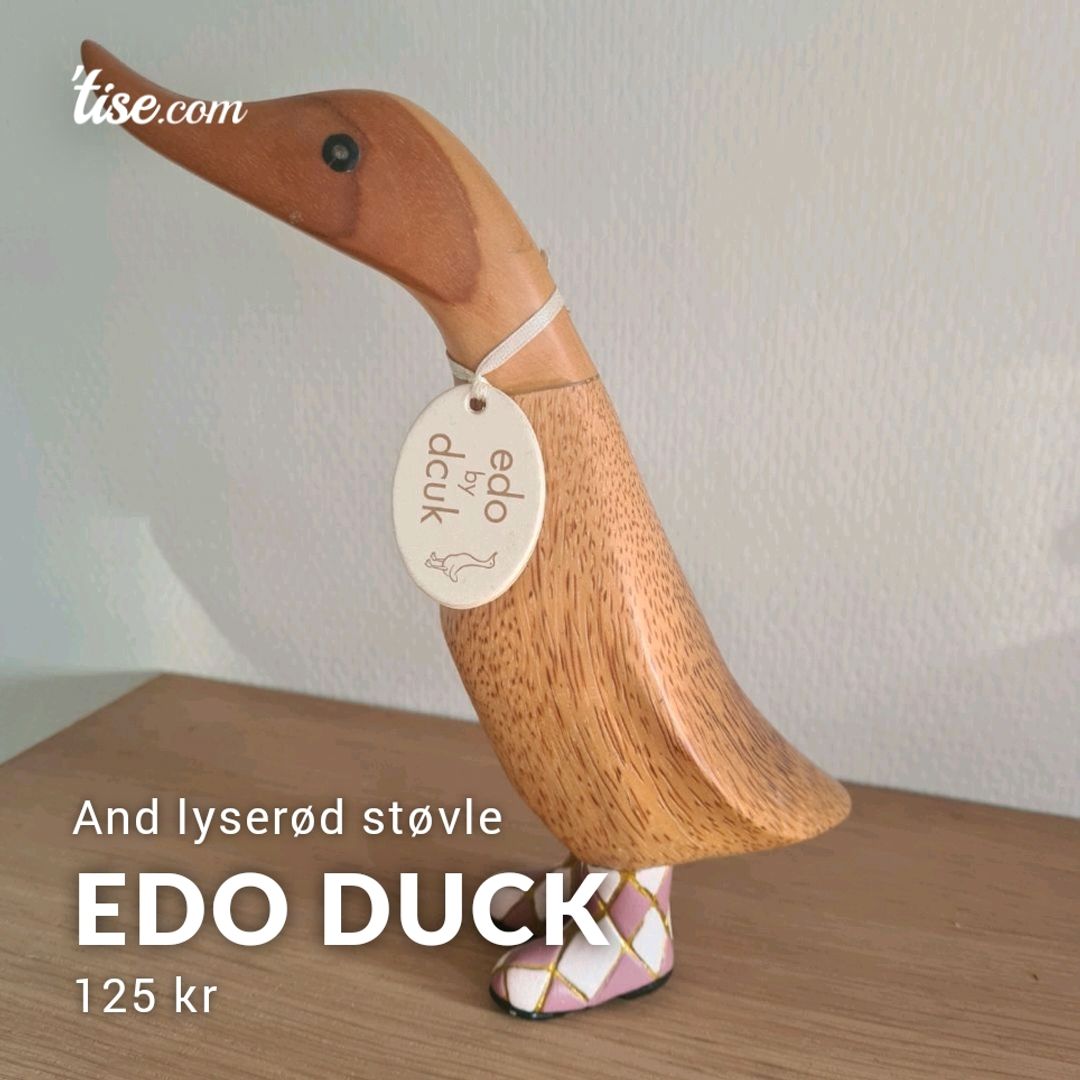 Edo Duck