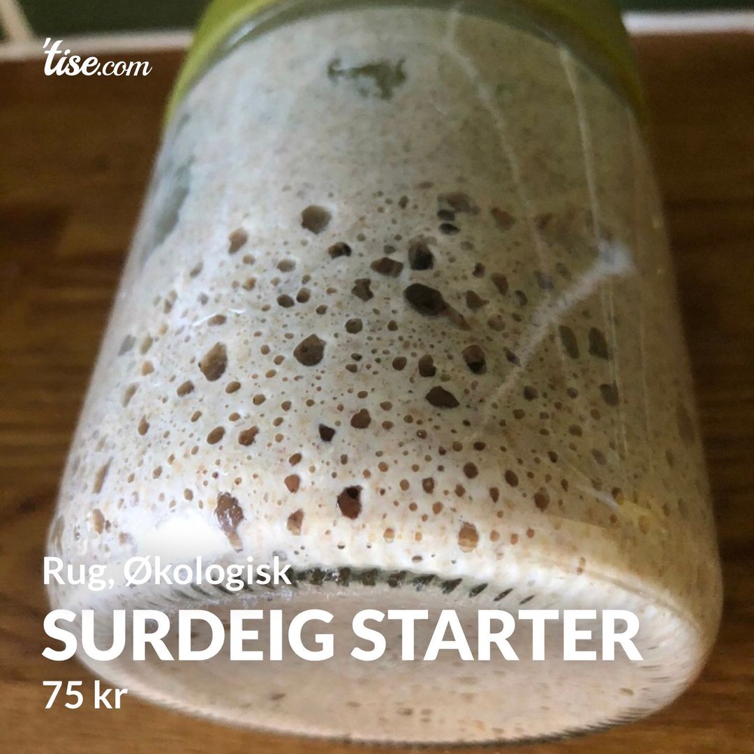 Surdeig Starter