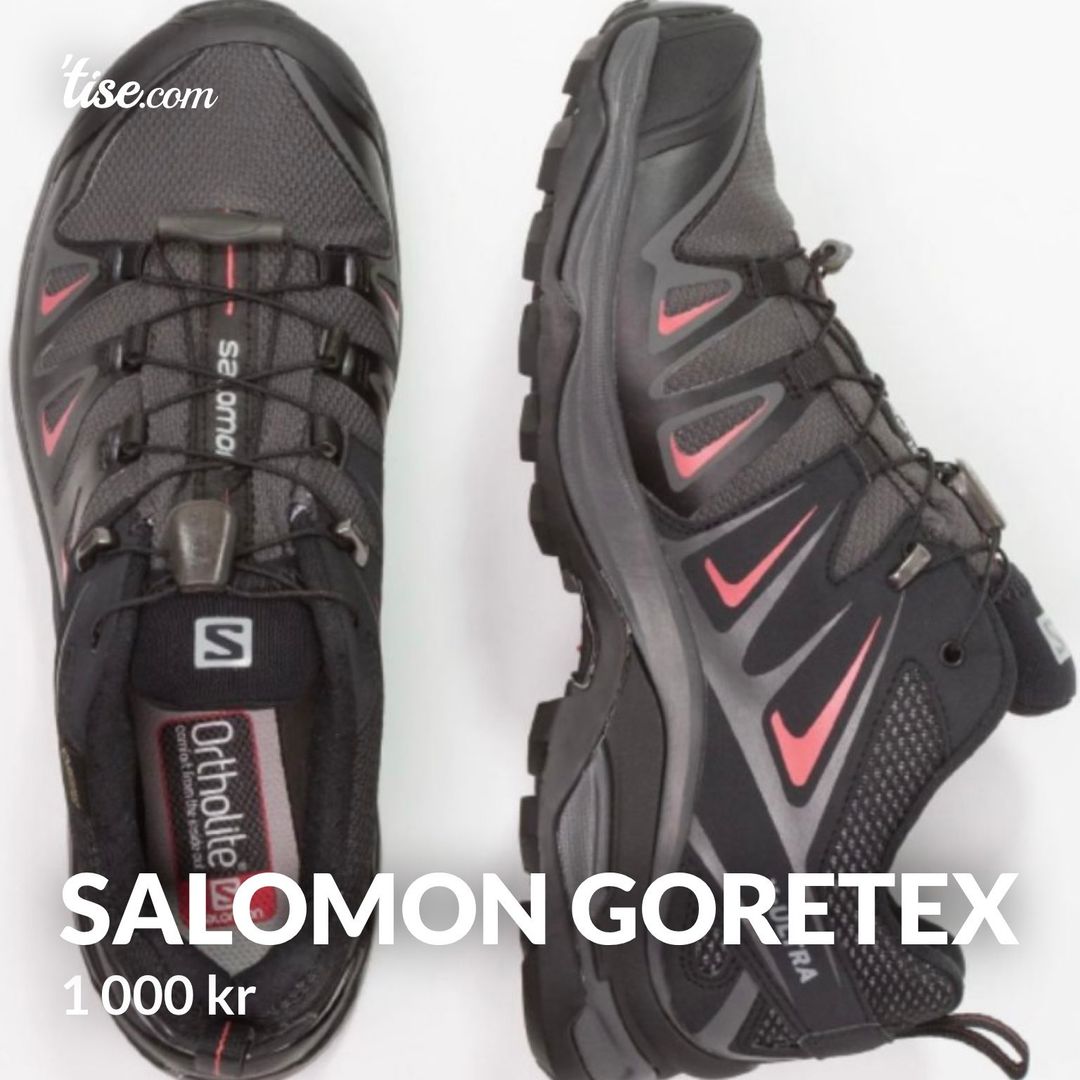 Salomon Goretex