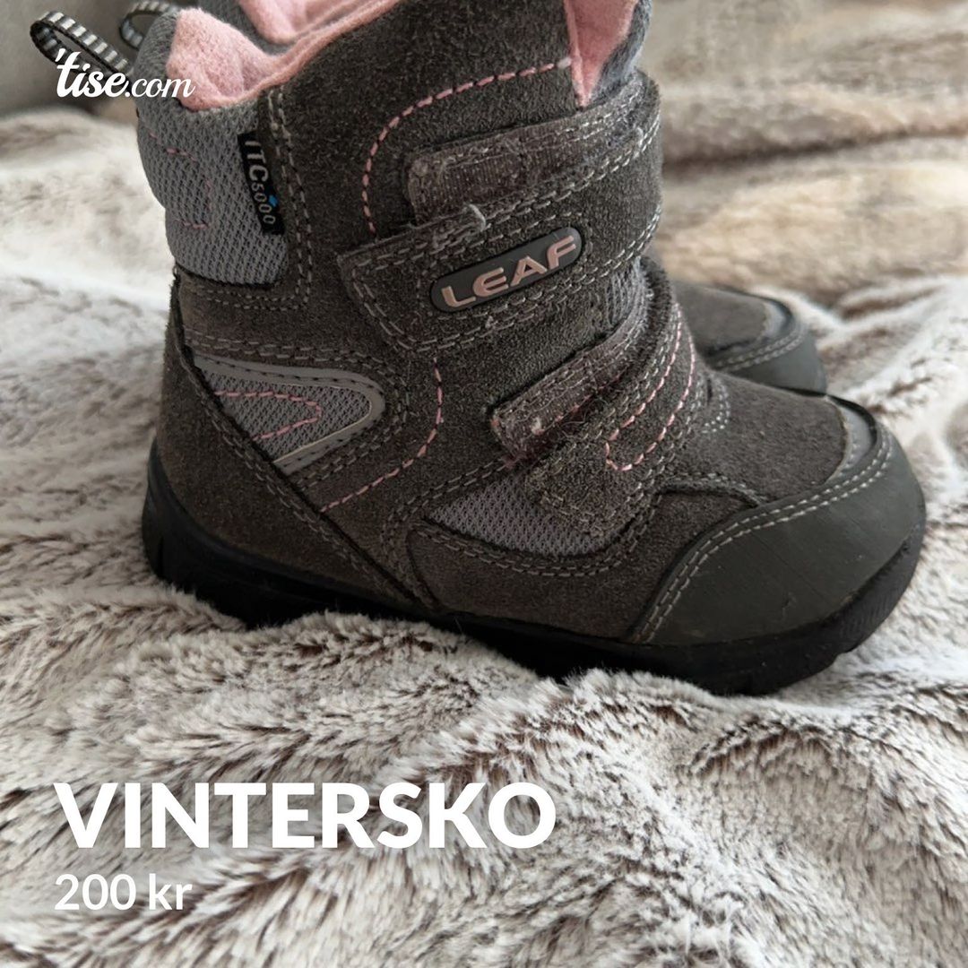 vintersko