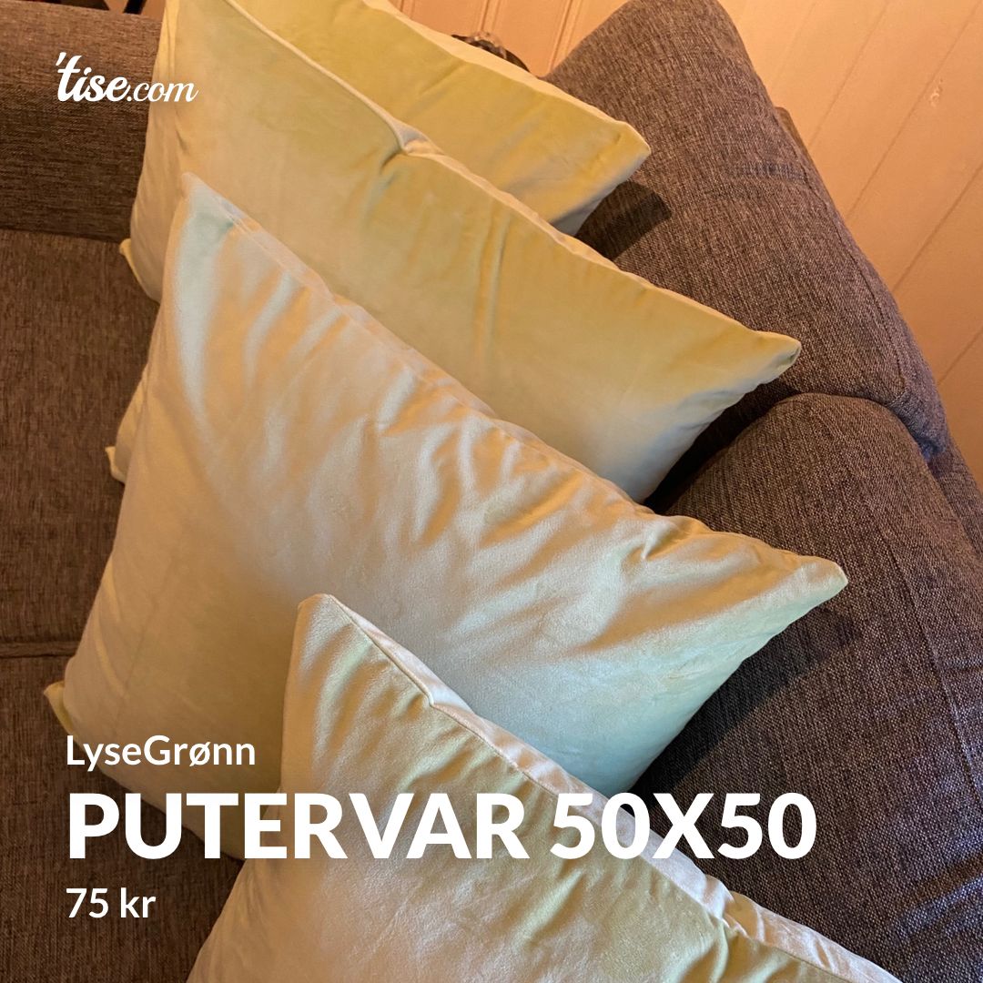 Putervar 50x50