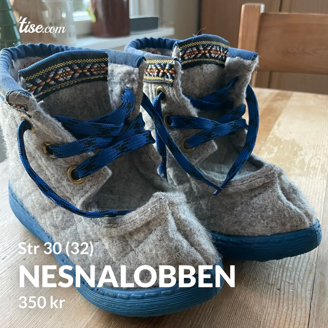 Nesnalobben