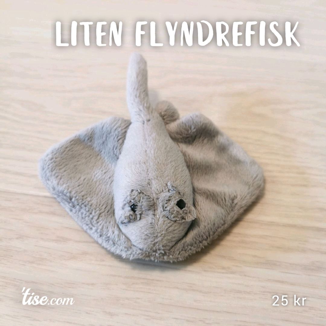 Liten flyndrefisk