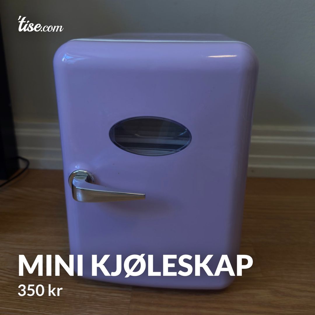 Mini kjøleskap