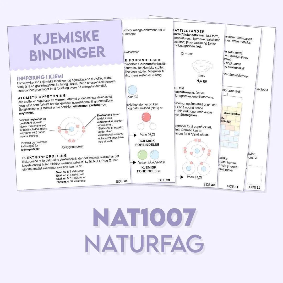 (NAT1007) Naturfag