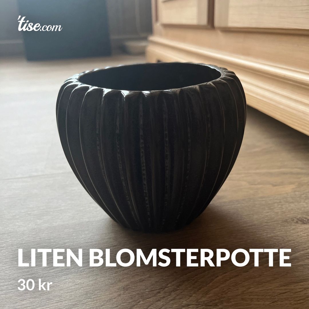 Liten blomsterpotte