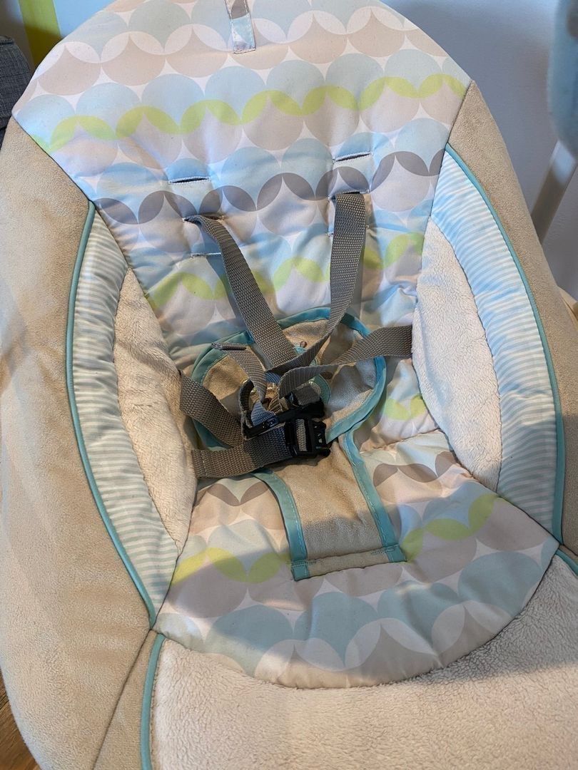 Ingenuity Baby Swing