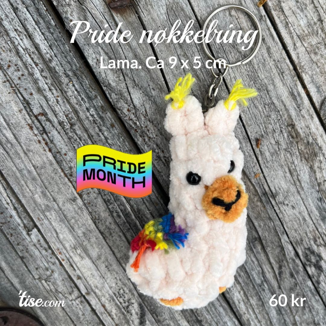 Pride nøkkelring