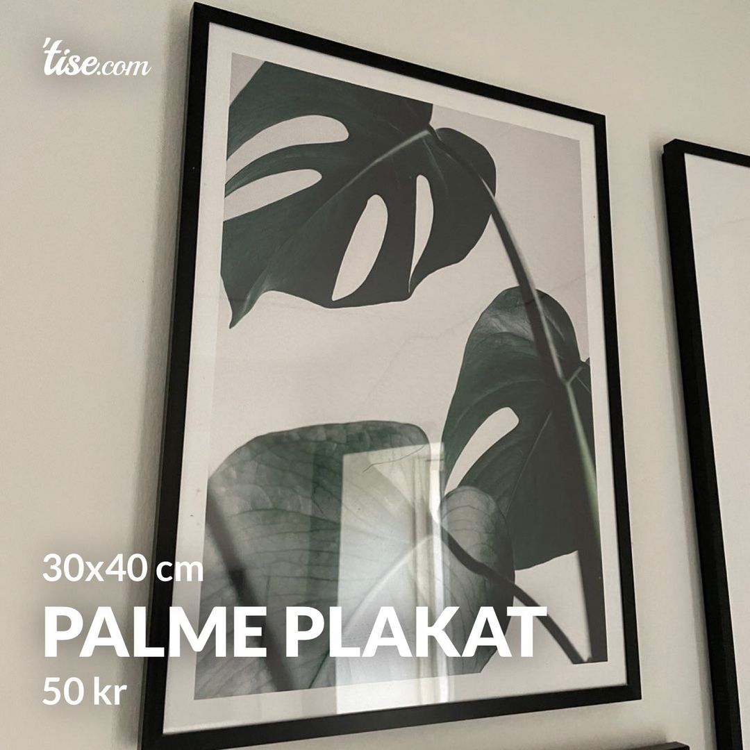 Palme plakat