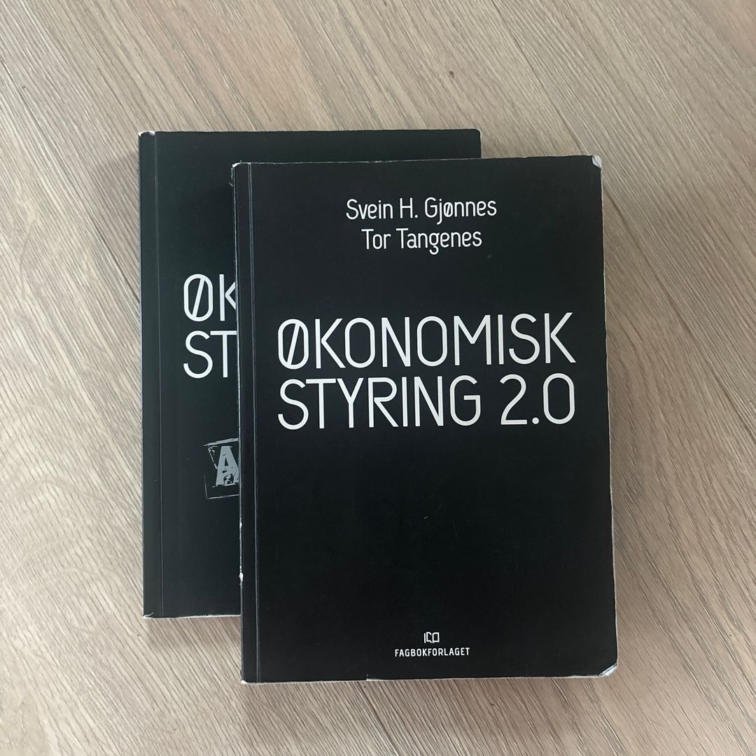 Økonomisk styring 2