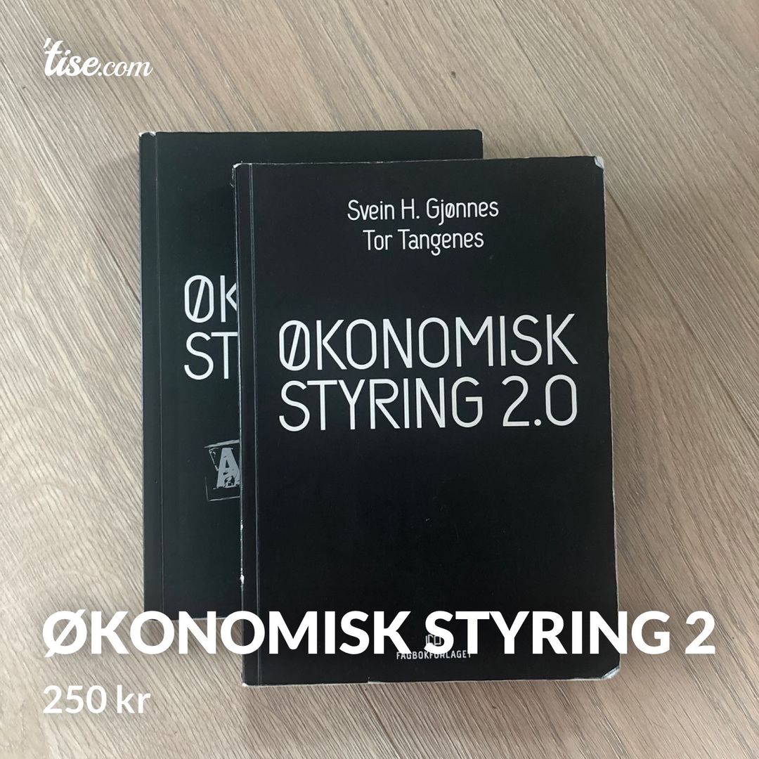 Økonomisk styring 2