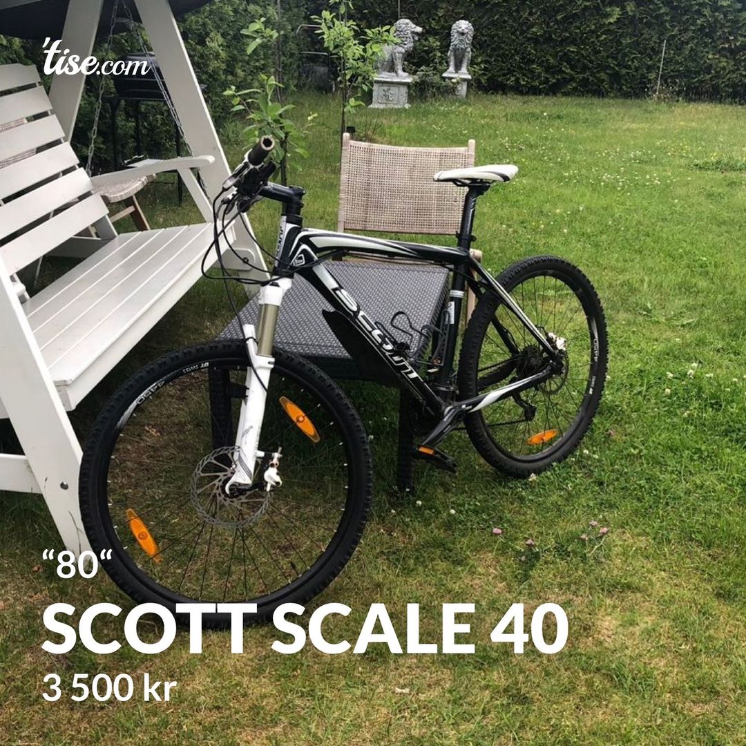 Scott scale 40