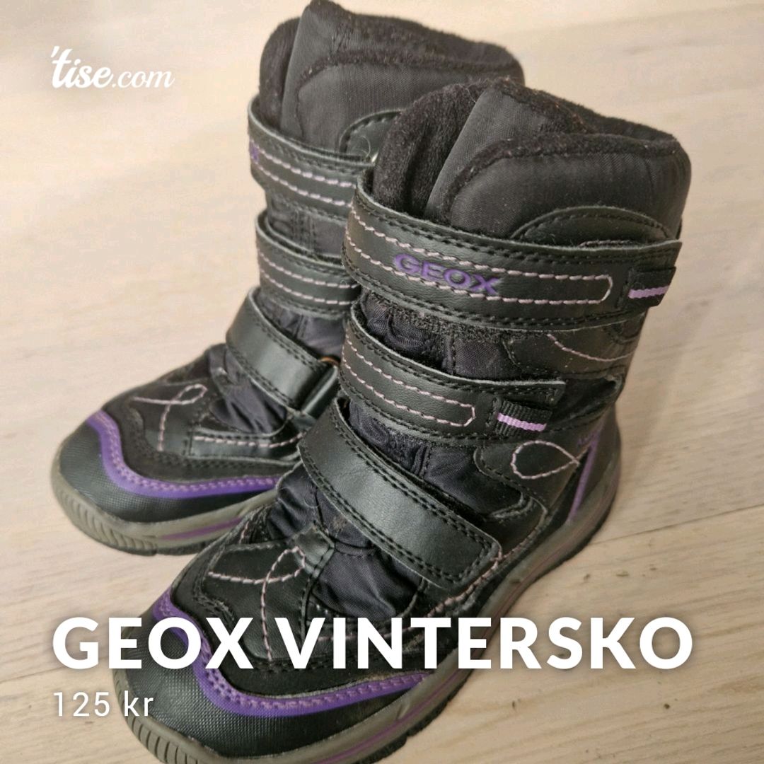 Geox Vintersko