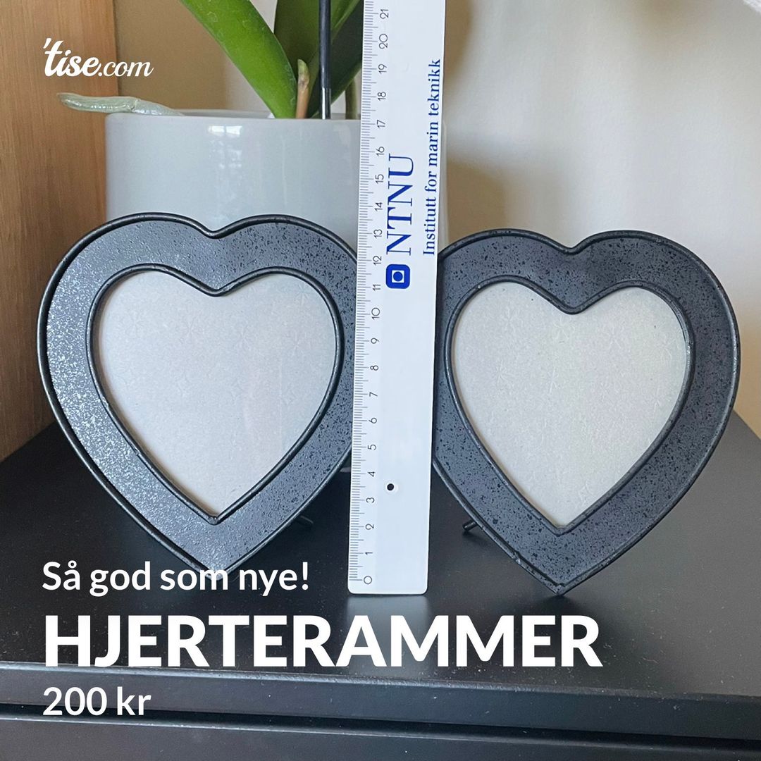 Hjerterammer