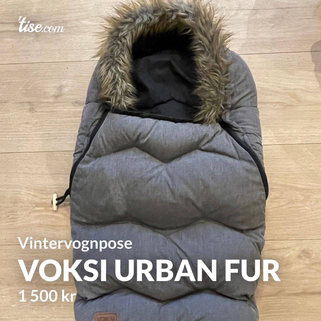 Voksi urban fur