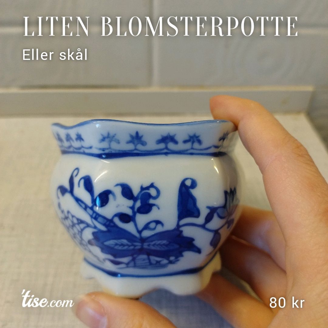 Liten blomsterpotte