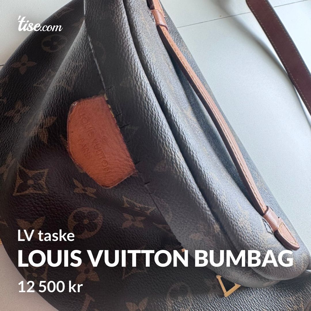 Louis Vuitton Bumbag