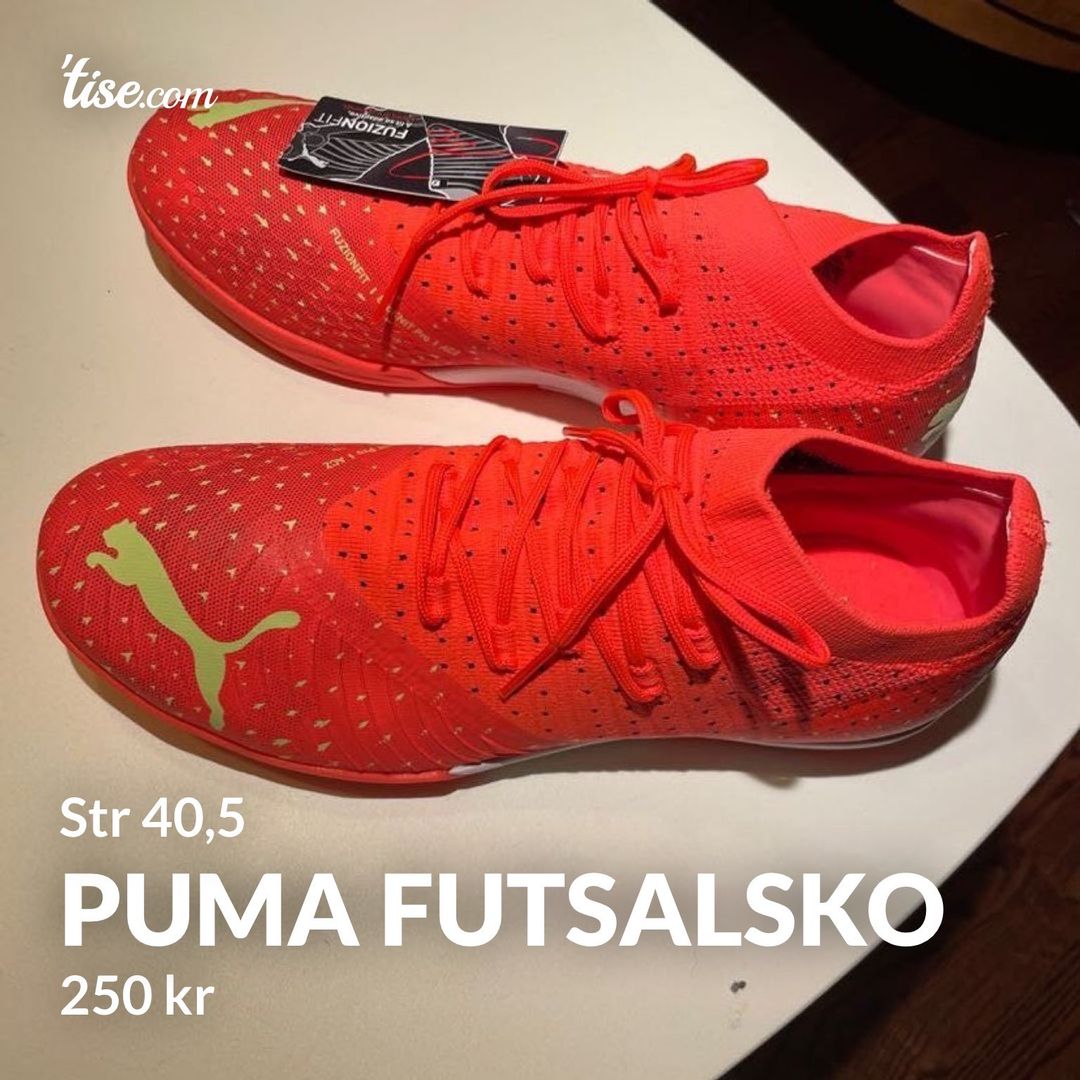 Puma futsalsko