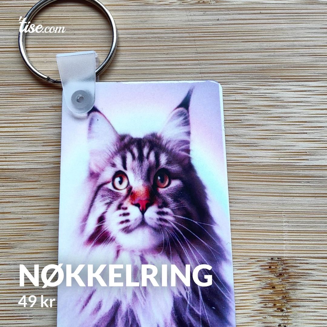 Nøkkelring