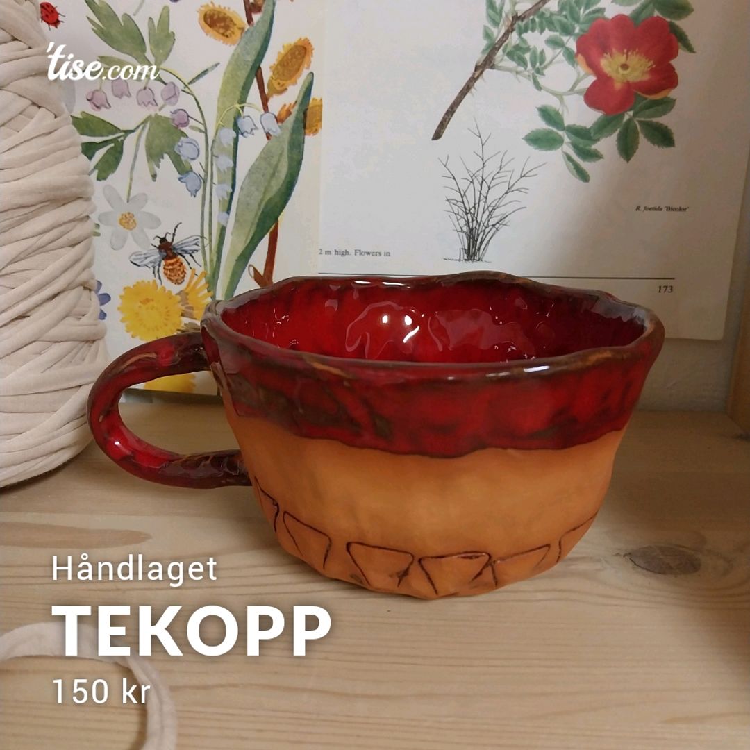 Tekopp