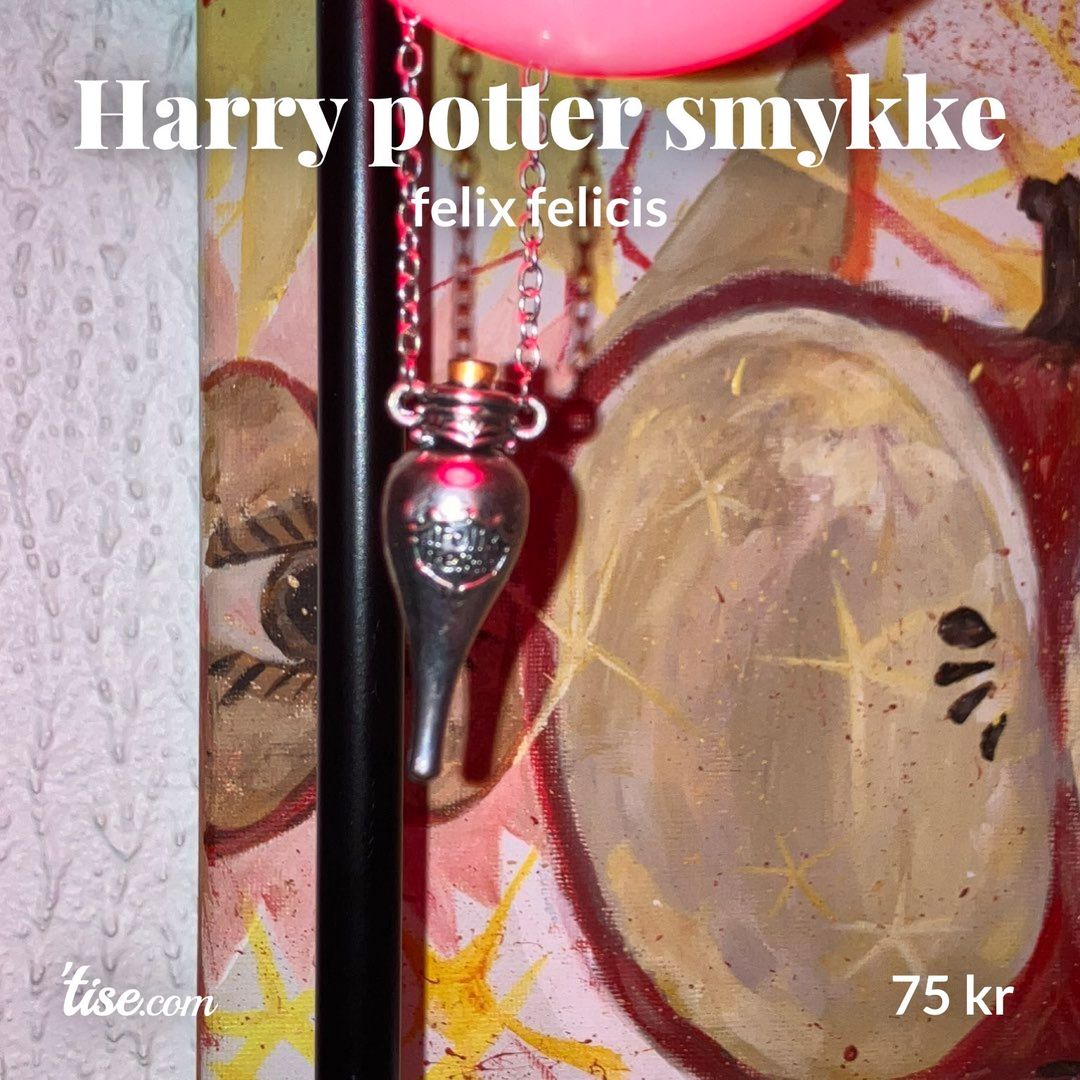 Harry potter smykke