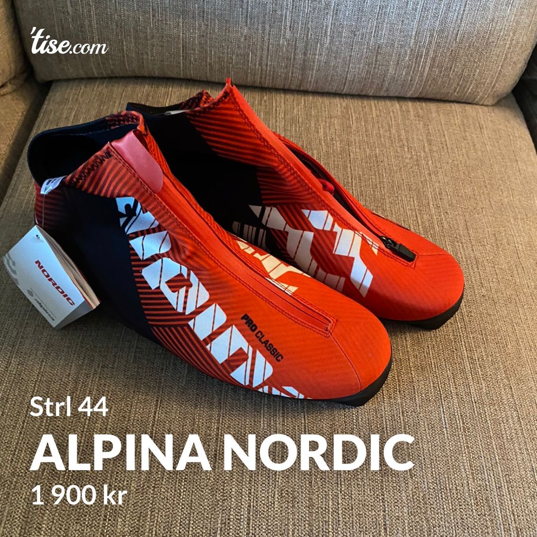 Alpina nordic