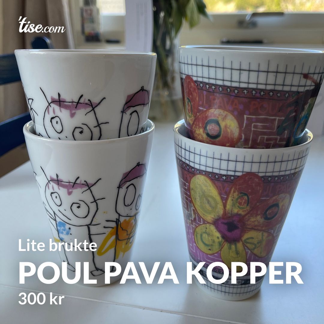 Poul Pava kopper