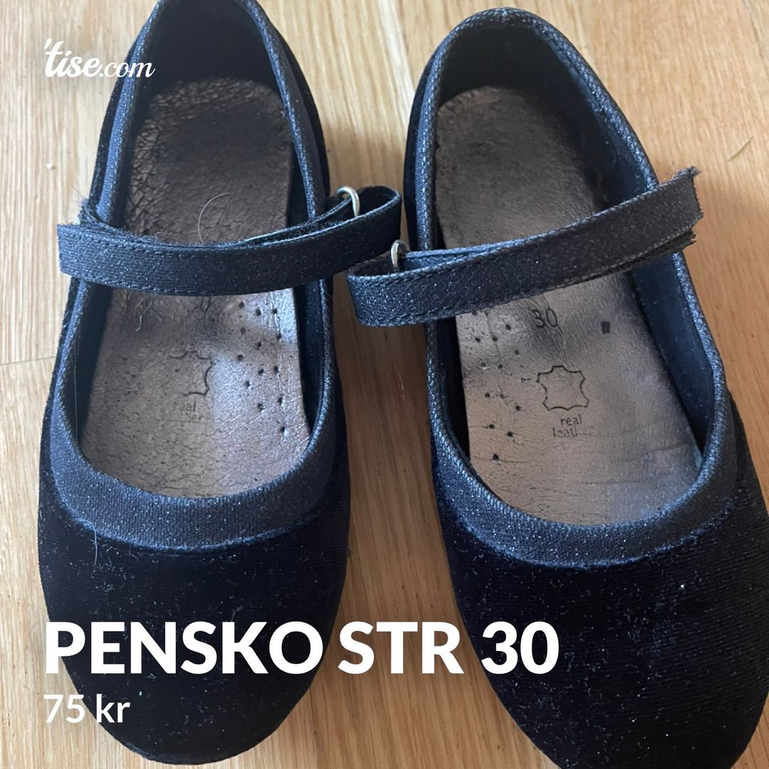 Pensko str 30