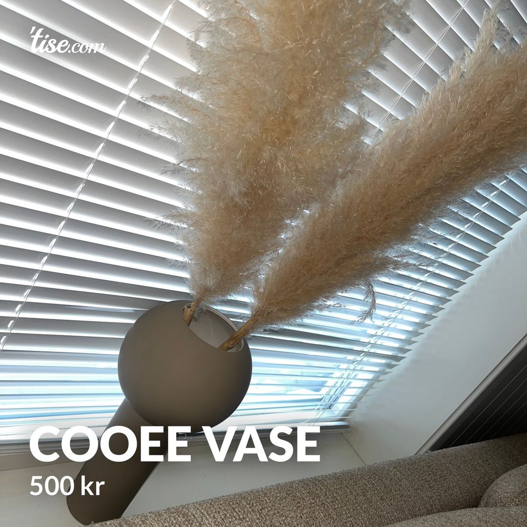 Cooee vase