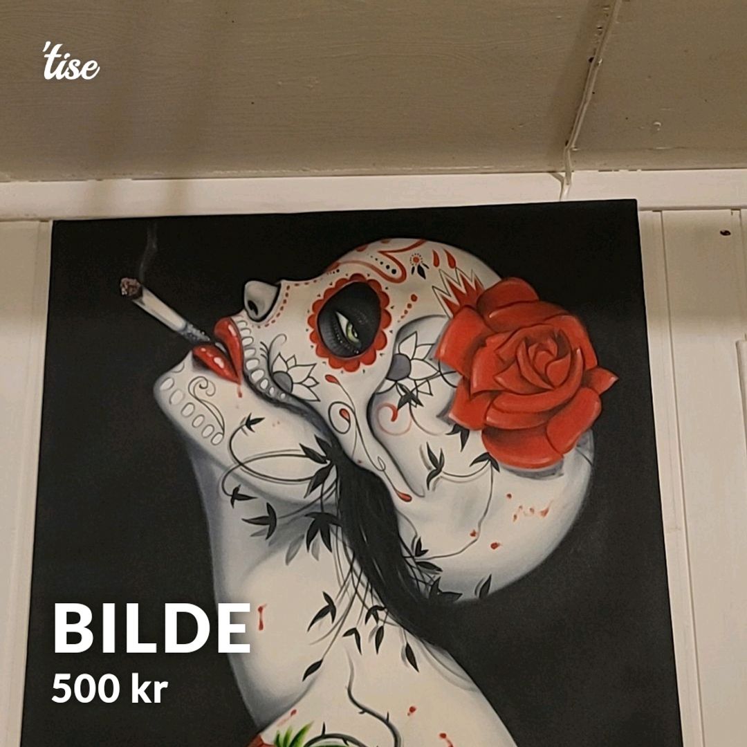 Bilde