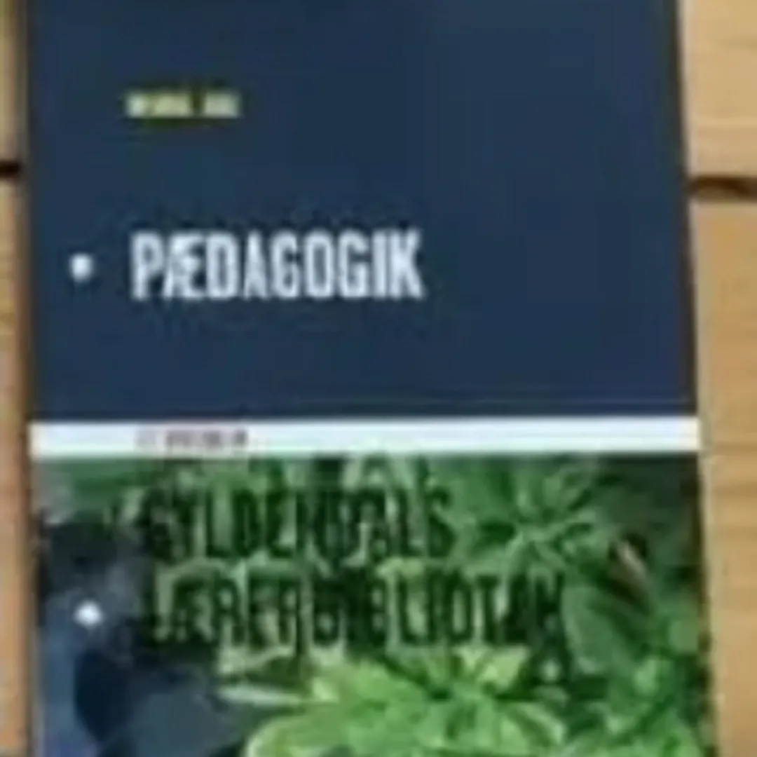 Pædagogik