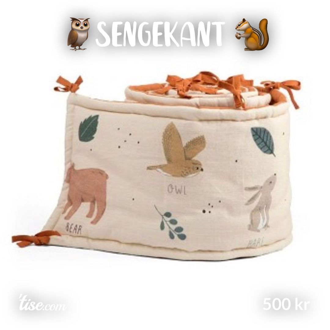 🦉Sengekant 🐿️