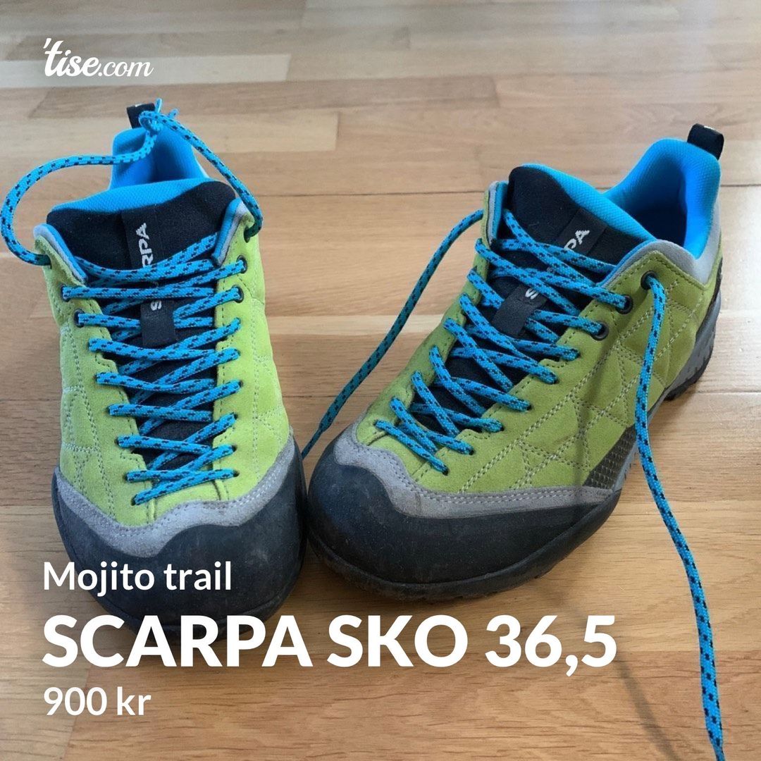 Scarpa sko 365