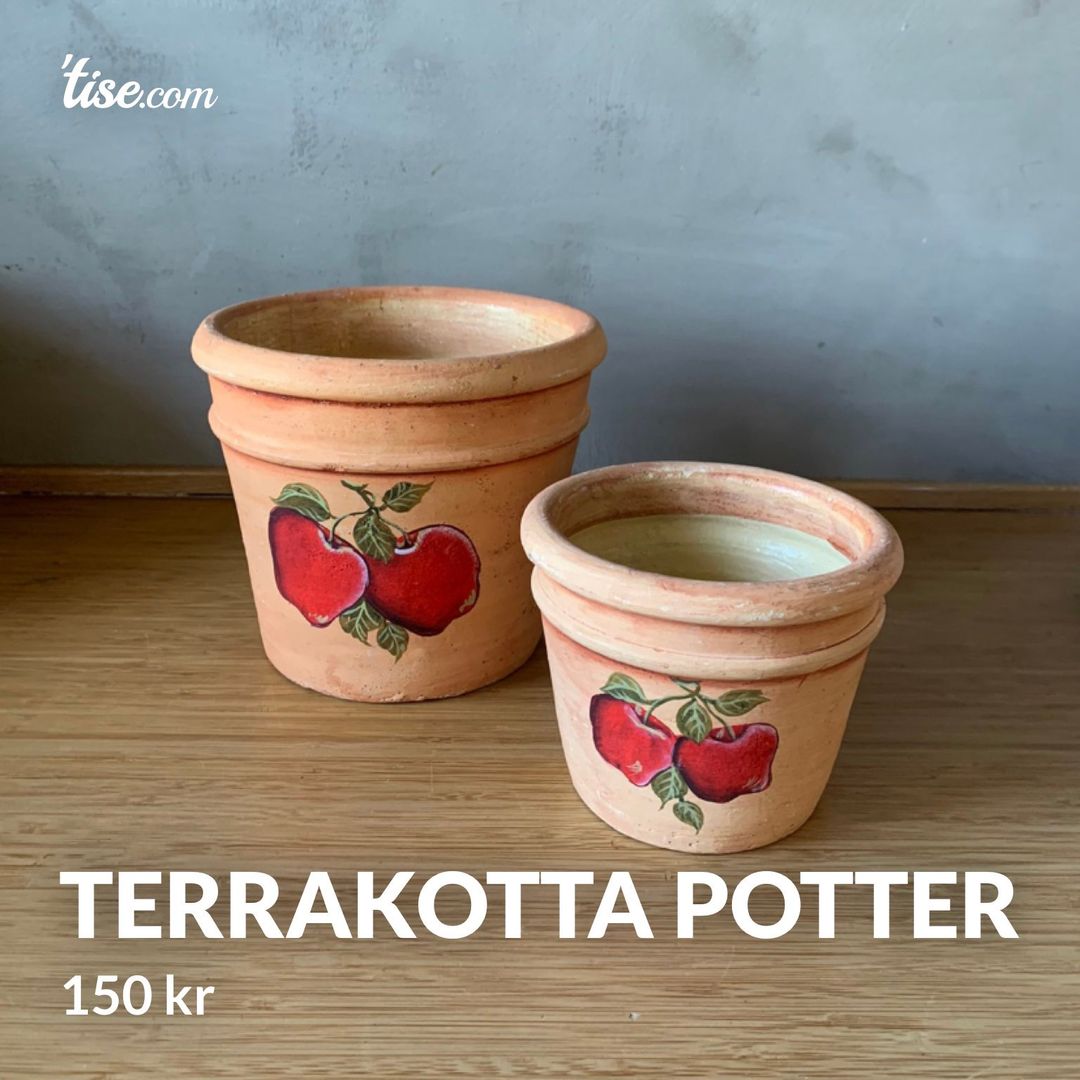 Terrakotta potter